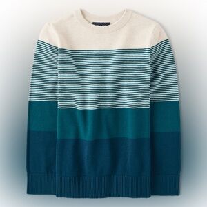 Boys the children’s place sweater blue NWT large